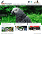 Mobile Screenshot of jakopapagani.com