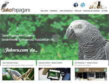 Tablet Screenshot of jakopapagani.com